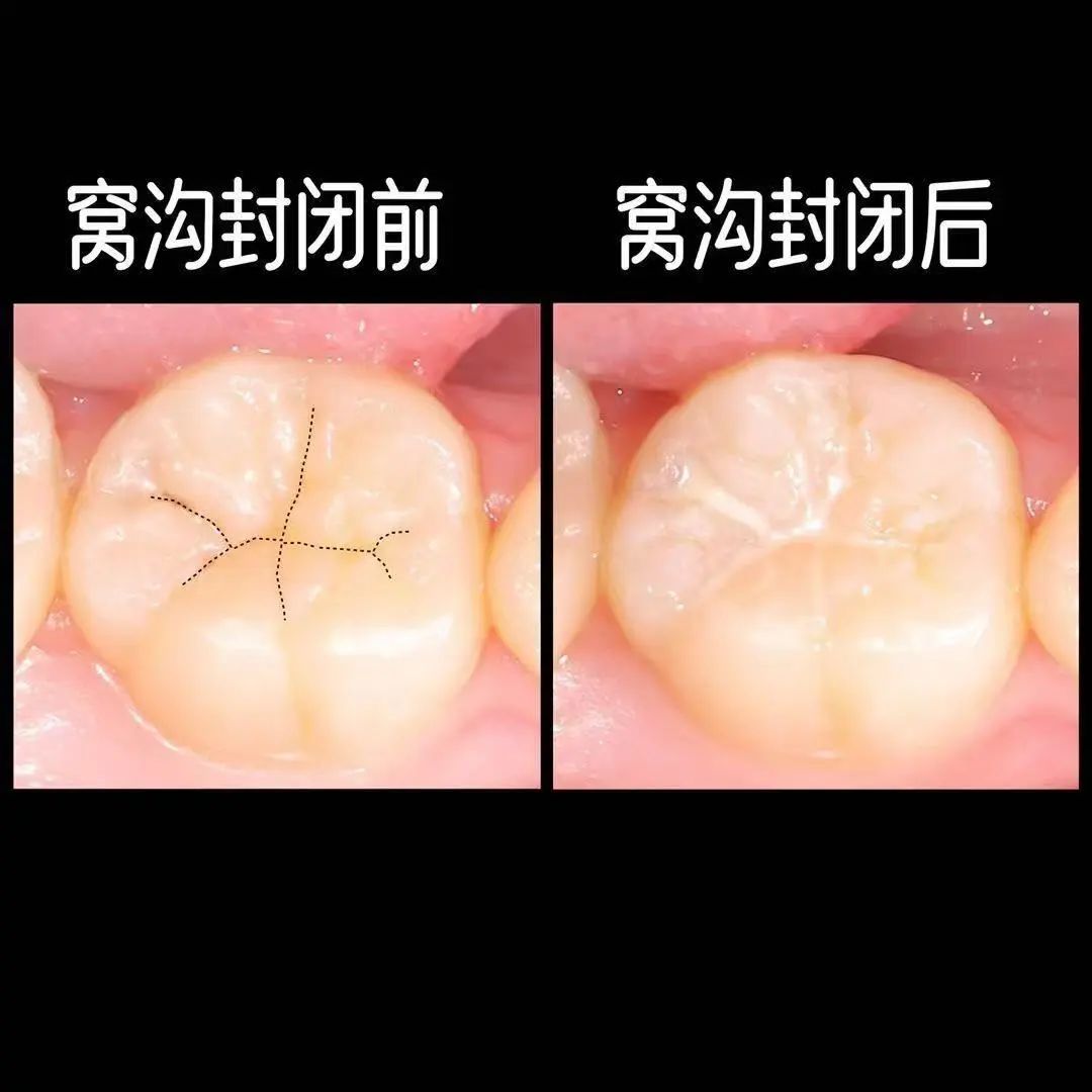微信图片_20250414134130.jpg