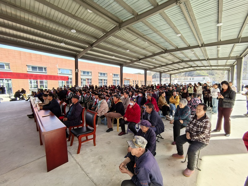 67ff090febeca.jpg
