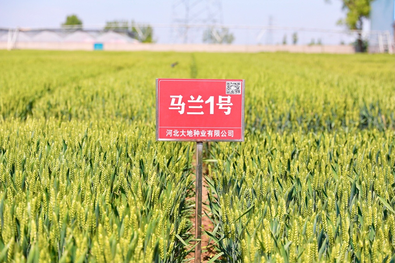 af3d4566-b718-451e-82cb-b49b9d563549.jpg