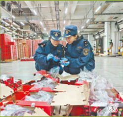 进口车厘子的抢鲜“三重奏”（经济聚焦）