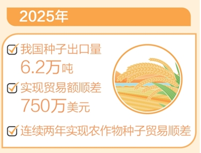 “中国粮”主要用上了“中国种”