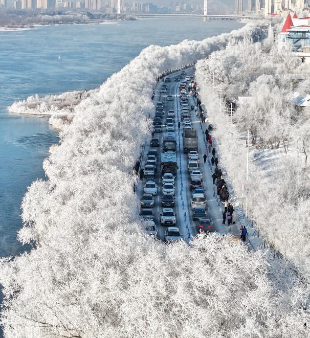 走进“冰雪热”幕后