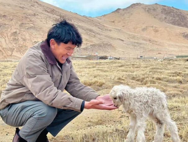 从马背套到莫东达热 两代书记接力带全村“翻身”