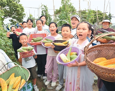 怎样吃“苦”，让健康不再“受苦”？（知食点·五味）