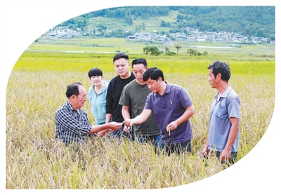 育好苗 兴沃野（前沿观察·农村党建调研行）