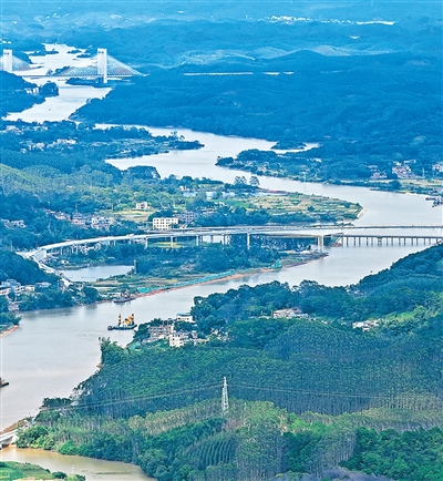 茶山深处的“土地生金”密码
