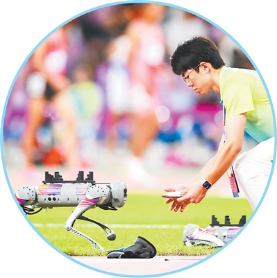 赛场内外感受高质量发展