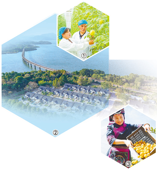 为农业农村现代化贡献智慧力量（议政）