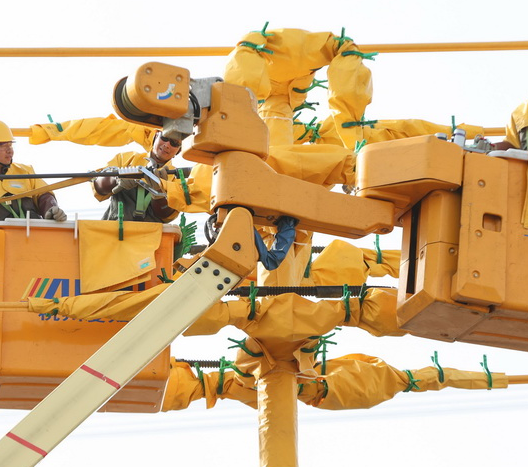 浙江德清：故障处置“加速度” 供电可靠“稳度冬”