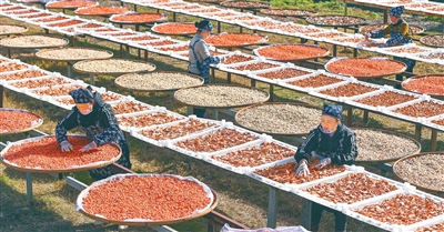 促进多劳者多得、技高者多得、创新者多得——  这三个群体，收入分配要“多得”（这些新提法，写入“十五五”规划建议③）