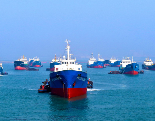 山东荣成：鲍鱼苗“南迁”