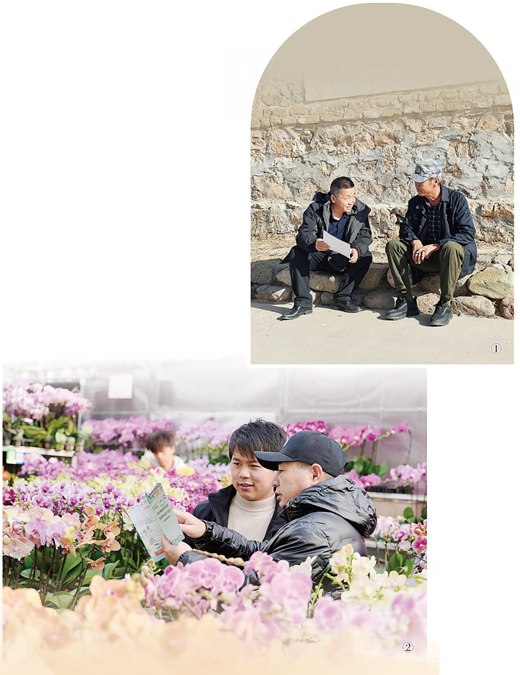 汇聚起乡村法治亮光（法治头条）