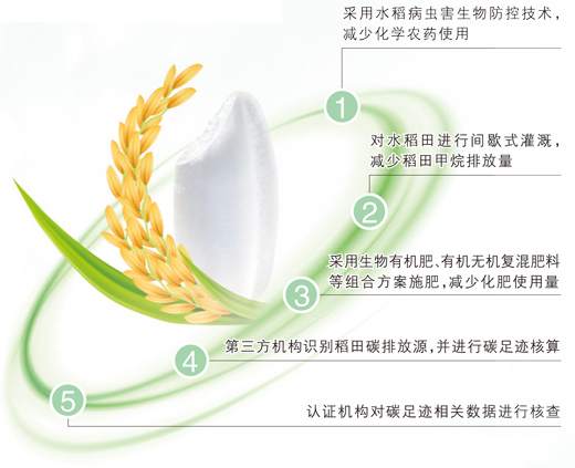 一粒大米的碳中和之旅（美丽中国·身边的绿色故事）