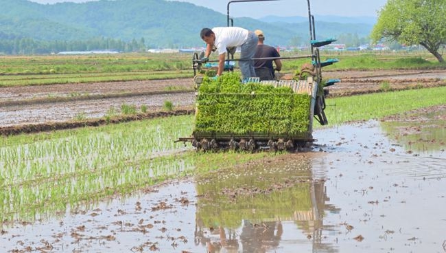 “吉”农添“智” 粮安有“力”