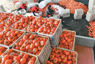 农业现代化水平不断提高（锐财经）