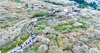 四川宣汉探索农文旅融合发展新路径——  让农民“旅游饭”吃得更香