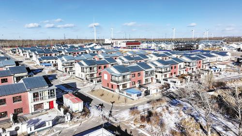 种下“金豆豆” 吃好“冰雪饭”