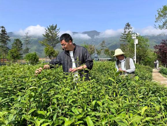 “购物车”映照美好生活新模样