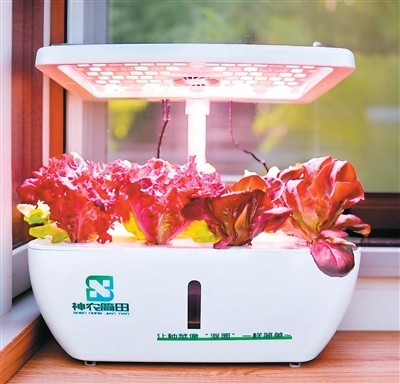 让AI技术“长”在泥土里