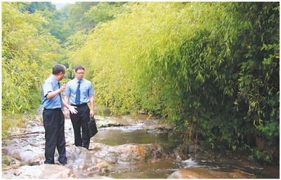 法护大江 绿意无限（法治头条）