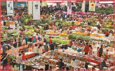 春花“赶春”有新招（年味里的新质生产力）