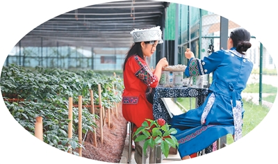 “金银绿”绘就边城新图景（边城记）