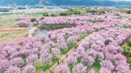 踏青赏春正当时