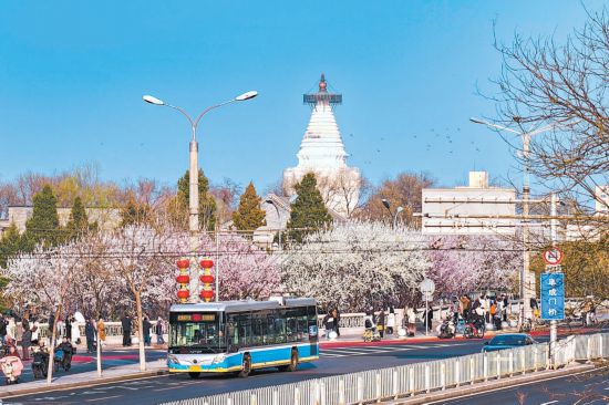 繁花竞放 春色渐浓
