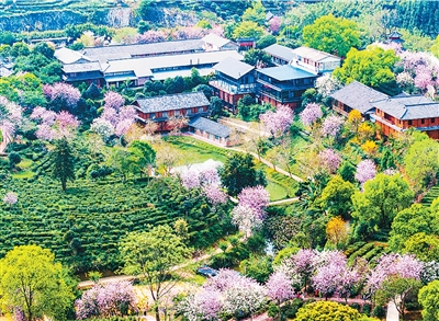 春日消费“花开”多地