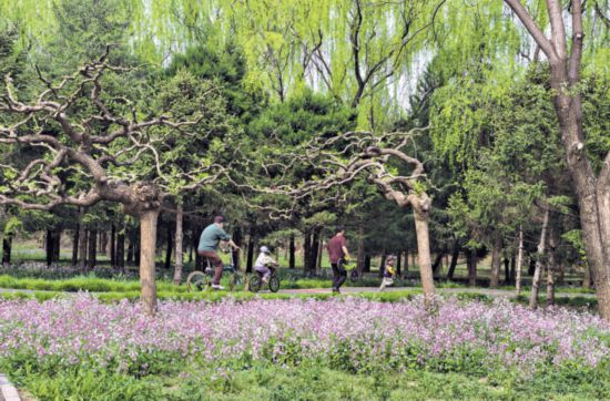 两条“翡翠项链”扮靓春日京城